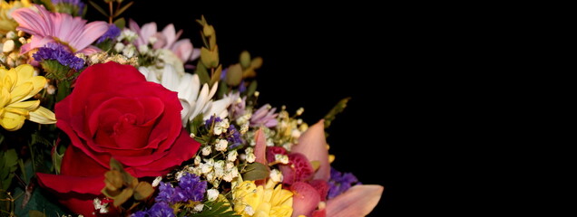 beautiful multicolored flowers on a black background