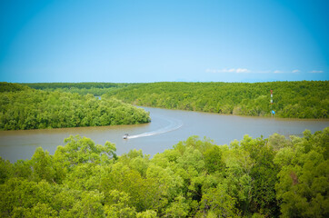 View from observatory, boat on river, mangrove forest, Can Gio, Vietnam
