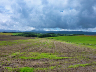 風景, 野原, 空, 草, 自然, 緑, 牧草地, サマータイム, 青, ルーラル, 雲, 雲, いなか, 農学, とぶ, 地平線, 国, ファーム