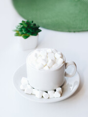 Cup of cappuccino with marshmallow and green plant on white background
