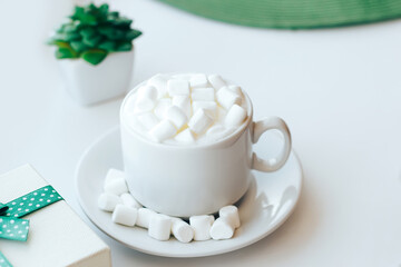 Cup of cappuccino with marshmallow and green plant on white background