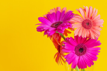 Two flowers, orange and pink in a glass vase on a yellow background, pop art, minimal.