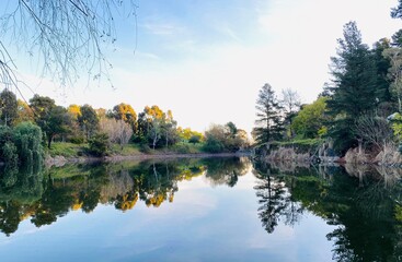 reflection of trees in a lake