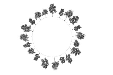 Lienzo en blanco circular con marco de árboles. Ilustración en 3D. Render