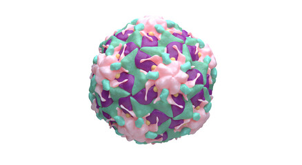 Human Rhinovirus Picornavirus isolated 3D illustration