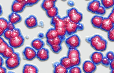  jelly bacteria organics