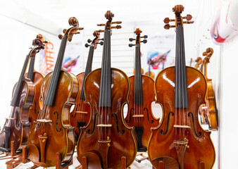Fototapeta na wymiar Classical violins standing on a wooden base.