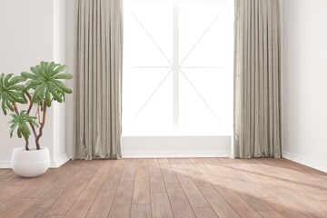 modern empty room with plant in white pot and curtains interior design. 3D illustration