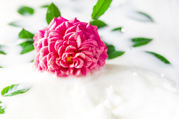  White bath with milk and rose. Relaxation and harmony. The concept of Spa with flowers, relax.