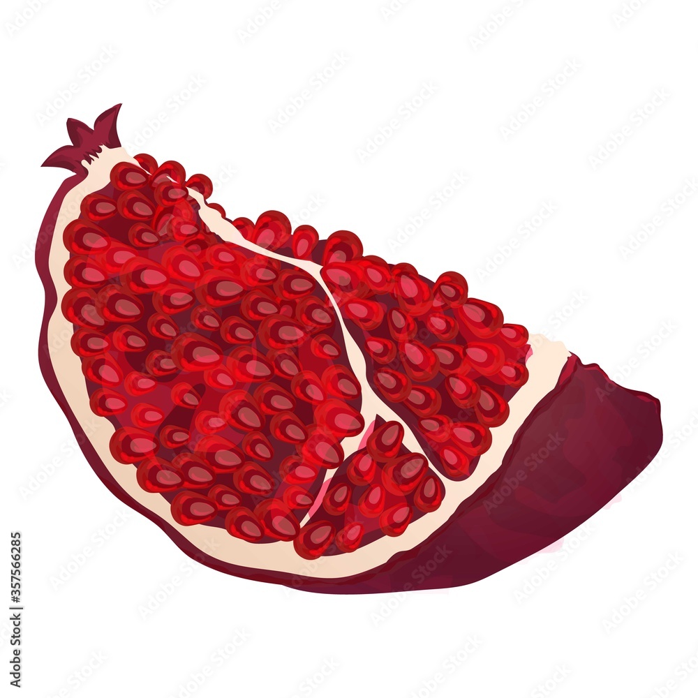 Poster slice pomegranate icon. cartoon of slice pomegranate vector icon for web design isolated on white ba