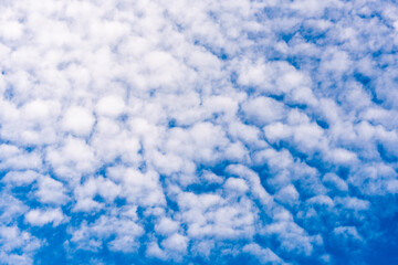 Obraz premium Cumulus Wolken Wolkengebilde am Himmel blau weiss Hintergrund abstrakt