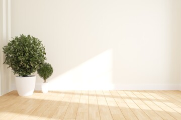 modern room with plants in white pot interior design. 3D illustration