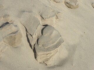 Ein Herz aus Sand und Wind