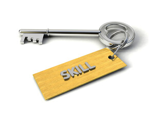 Metal Key with Skill golden tag isolated on white. Key to Skill concept. 3d illustration
