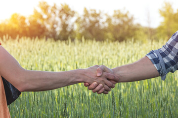 handshake on the background of a wheat field and trees