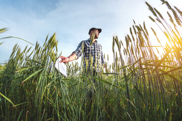 male agronomist in cap takes notes in a notebook on a green agricultural field of wheat