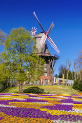 View to windmill in garden called 
