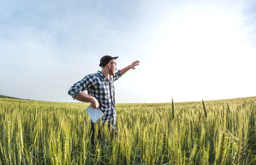 male agronomist in cap takes notes in a notebook on a green agricultural field of wheat