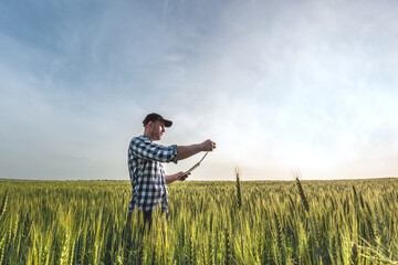 male agronomist in cap takes notes in a notebook on a green agricultural field of wheat