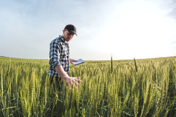 male agronomist in cap takes notes in a notebook on a green agricultural field of wheat - obrazy, fototapety, plakaty