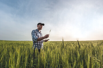 Naklejka na ściany i meble male agronomist in cap takes notes in a notebook on a green agricultural field of wheat