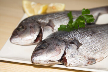 fresh bream or sea bream on the plate with parsley and lemon