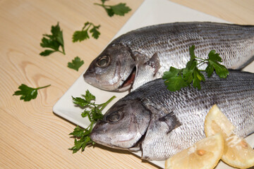 fresh bream or sea bream on the plate with parsley and lemon