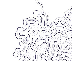 topographic map abstract height lines isolated on white background vector