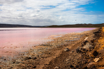 Hutt lagoon: salty lake with pink water due to algae effect. Panoramic view with orange sand and clouds in the sky. Location: West Australia WA, Australia.