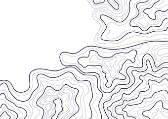 topographic map abstract height lines isolated on white background vector