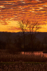 Sonnenuntergang im Vogelschutzgebiet NSG Garstadt bei Heidenfeld im Landkreis Schweinfurt, Unterfranken, Bayern, Deutschland