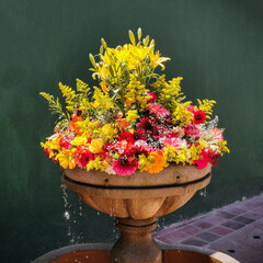 Fototapete bei efototapeten.de bestellen   