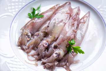 seafood dish, squid or fresh cuttlefish with parsley