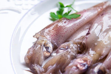 seafood dish, squid or fresh cuttlefish with parsley