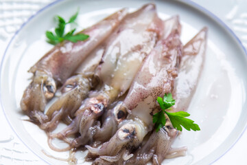 seafood dish, squid or fresh cuttlefish with parsley