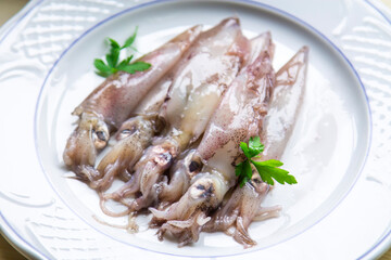 seafood dish, squid or fresh cuttlefish with parsley