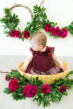 Little cute girl 1 year old in a dress of the color of Marsala sits in a wicker basket with peonies. Spring and flowers. Children's fashion