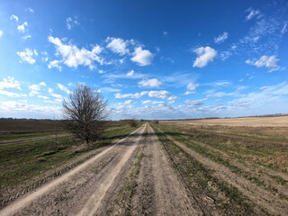 Dirt road among the fields on a sunny day. Landscape.
