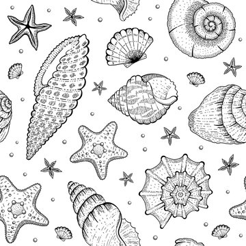Sea Shell Pattern. Seashell seamless vector background. Ocean beach illustration with sketch starfish, shells, tropic seashells. Summer marine vintage print. Hand drawn underwater life graphic