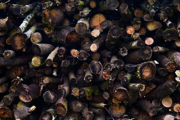 close up of black and white peppercorns