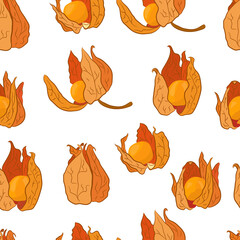 Physalis pattern