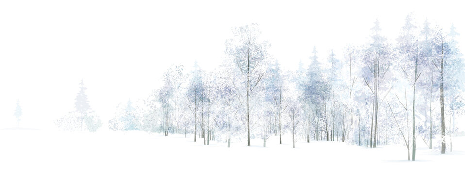 Vector winter  snowy forest isolated. Winter landscape.