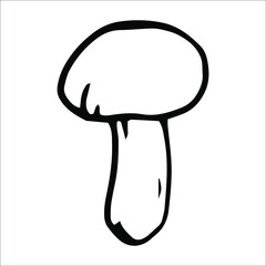 Single hand drawn mushroom for greeting cards, posters, recipe, culinary design. Isolated on white background. Doodle vector illustration.