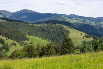 Fototapeta na wymiar Mountain landscape, view on Black Forest Mountains, springtime. Green hills, meadows and forest. Schwarzwald panorama, rolling landscape. Germany
