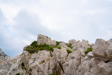 白崎海洋公園（白崎海岸）