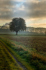 Rural Idyllic Landscape In Germany