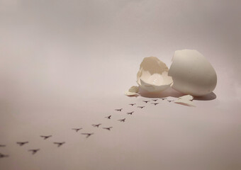 broken egg shell