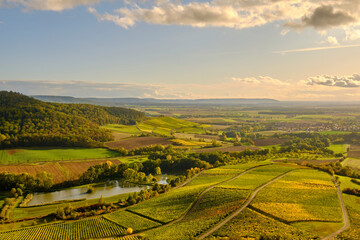 Weinberge am Stollberg – Deutschlands höchstem Weinberg - bei Handthal im Steigerwald, Landkreis...