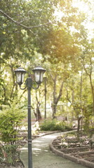Western Style Vintage Street Lamp in Garden, Effect Warm Tone