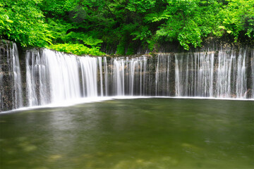 新緑と白糸の滝